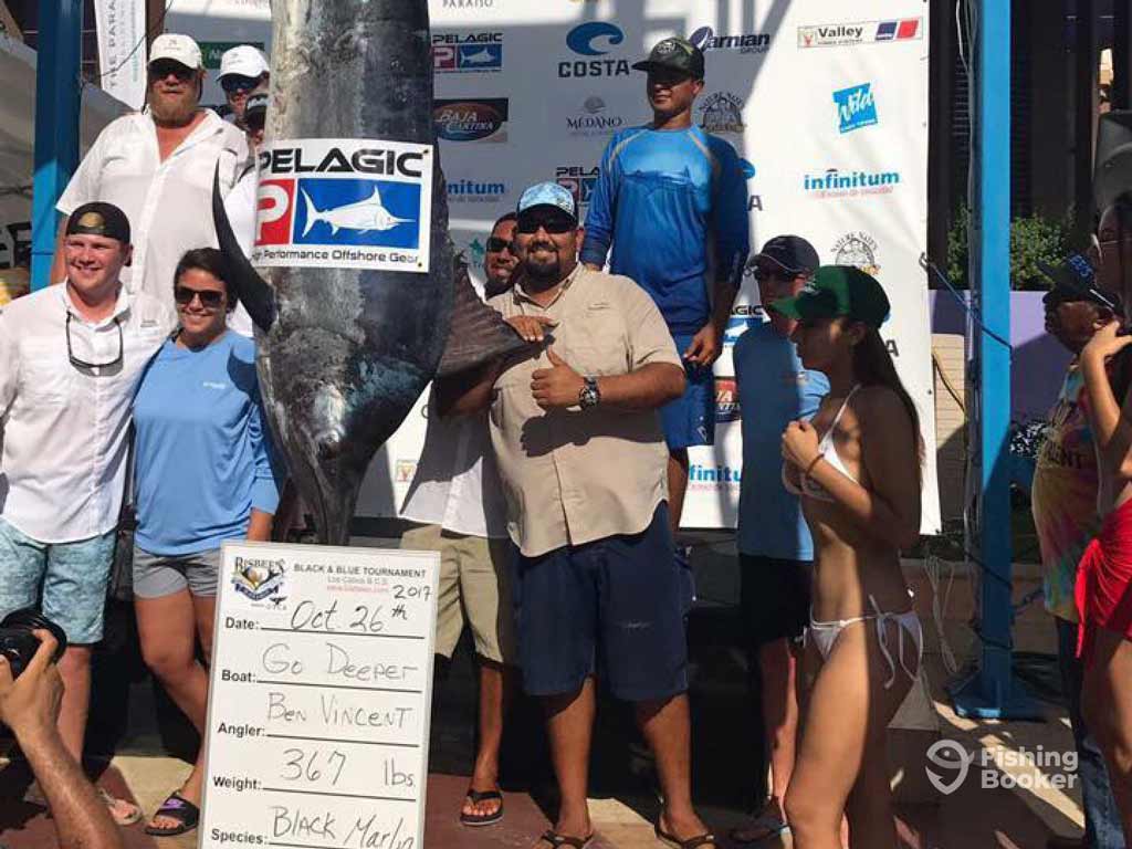 A group of anglers is posing with a 367-lb Black Marlin. The sign reads: Oct 26, 2019, Go Deeper, Ben Vincent—celebrating a big fishing tournament win.